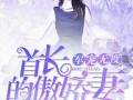 妻妻在线观看全集,一场跨越时空的浪漫邂逅
