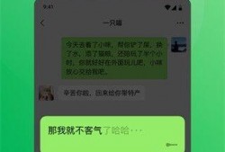 宁强微信爆料最新消息视频,视频揭秘事件真相