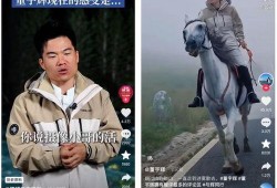 内部爆料董宇辉视频,内部爆料视频背后的真实故事